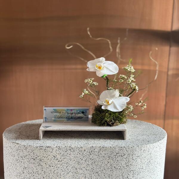 fa10e5e_WhatsApp Image 2026-04-23 at 6.52.14 PM.jpeg